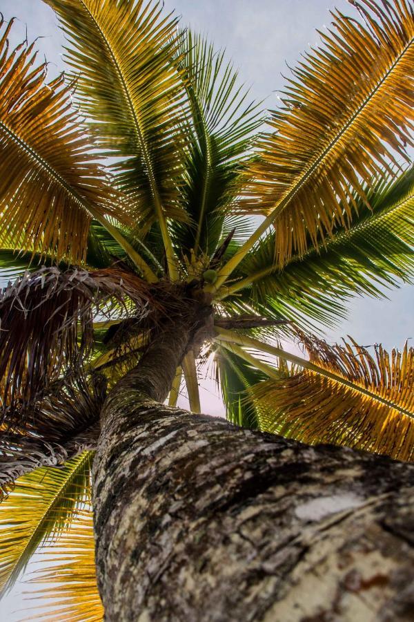 Dona Mara Gastro Hotel Bocas del Toro Eksteriør bilde