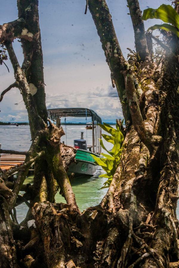 Dona Mara Gastro Hotel Bocas del Toro Eksteriør bilde